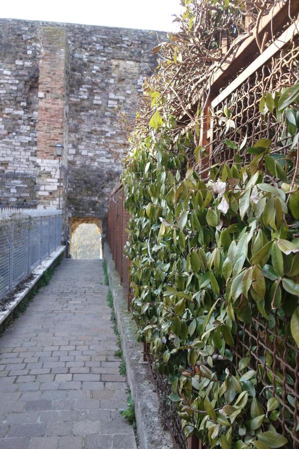 Central- Views - Air Conditioning - Easy Parking -Self Check In Perugia Luaran gambar